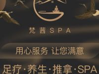 梵茜spa